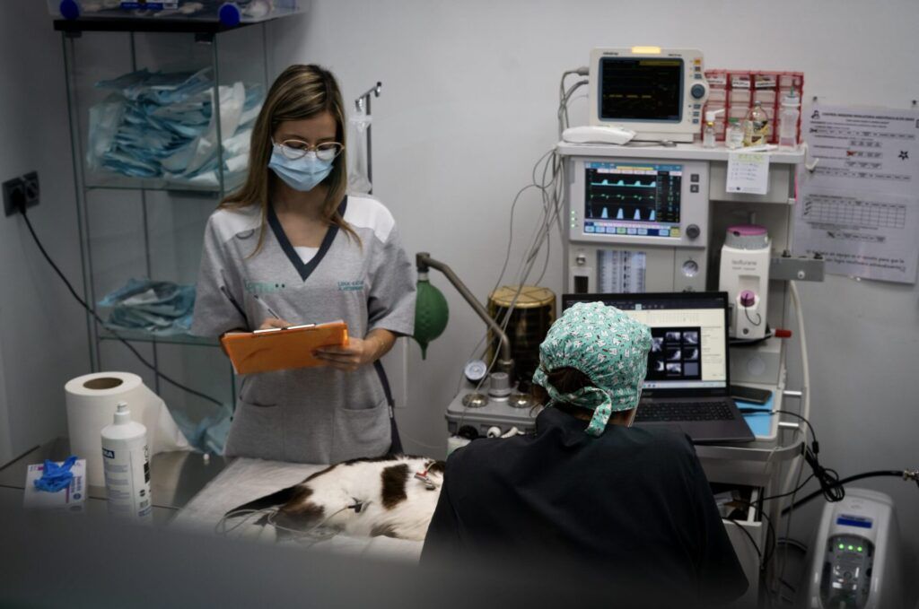 Clinica Veterinaria Terra Catarroja